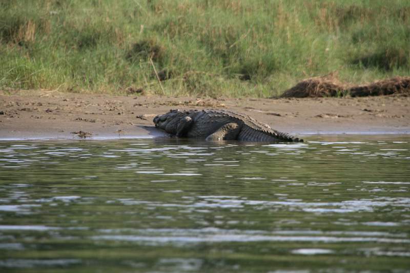 India & Nepal 2011 - 0581
